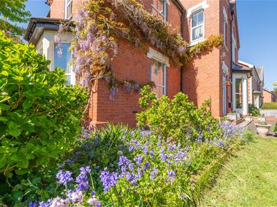 Picture 45